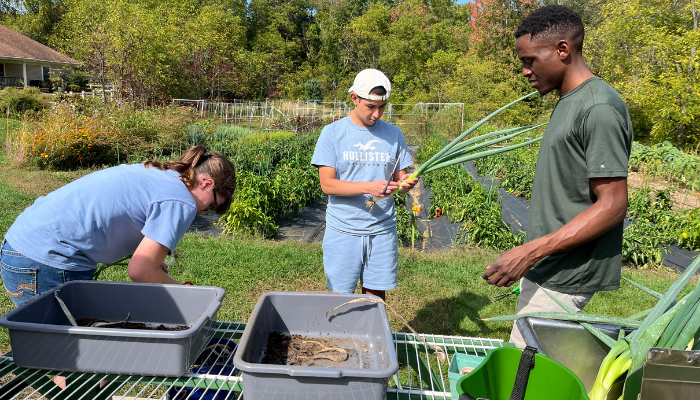 A group of three helping each other out at the farm