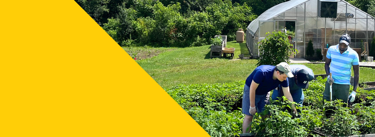 3 People working at TILL farms with yellow banner