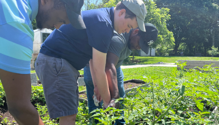 Photo of three men working at the farm